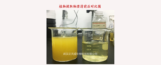 太阳能路灯应用案例