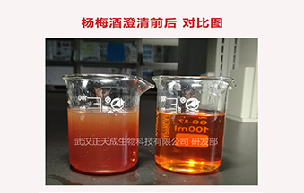 合肥路灯厂家应用案例