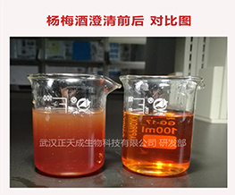 太阳能庭院灯应用案例