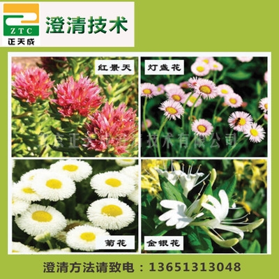 植物提取澄清剂